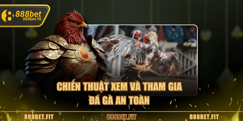 Chiến thuật xem và tham gia đá gà an toàn