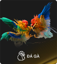 đá gà